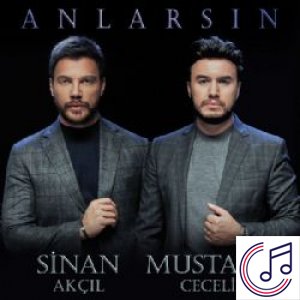 Anlarsın albüm kapak resmi