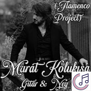 Flamenco Project albüm kapak resmi